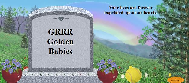 GRRR Golden Babies's Rainbow Bridge Pet Loss Memorial Residency Image