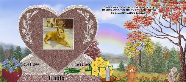 Habib's Rainbow Bridge Pet Loss Memorial Residency Image