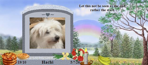 Hachi's Rainbow Bridge Pet Loss Memorial Residency Image