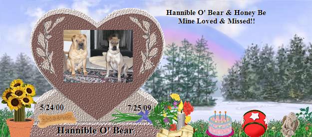 Hannible O' Bear's Rainbow Bridge Pet Loss Memorial Residency Image