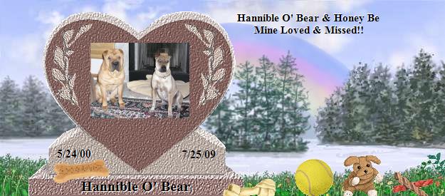 Hannible O' Bear's Rainbow Bridge Pet Loss Memorial Residency Image
