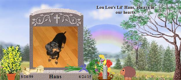 Hans's Rainbow Bridge Pet Loss Memorial Residency Image