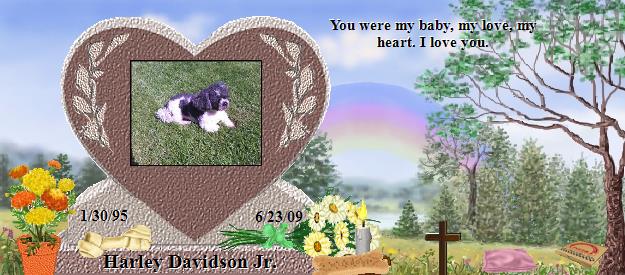 Harley Davidson Jr.'s Rainbow Bridge Pet Loss Memorial Residency Image