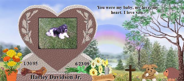 Harley Davidson Jr.'s Rainbow Bridge Pet Loss Memorial Residency Image