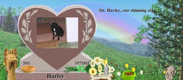 Harley's Rainbow Bridge Pet Loss Memorial Residency Image