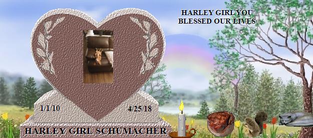 HARLEY GIRL SCHUMACHER's Rainbow Bridge Pet Loss Memorial Residency Image