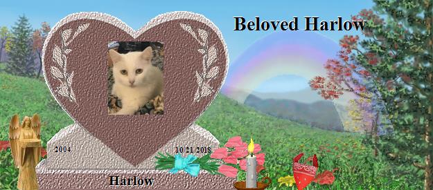 Harlow's Rainbow Bridge Pet Loss Memorial Residency Image