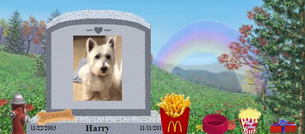 Harry's Rainbow Bridge Pet Loss Memorial Residency Image