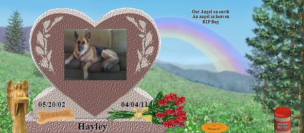 Hayley's Rainbow Bridge Pet Loss Memorial Residency Image