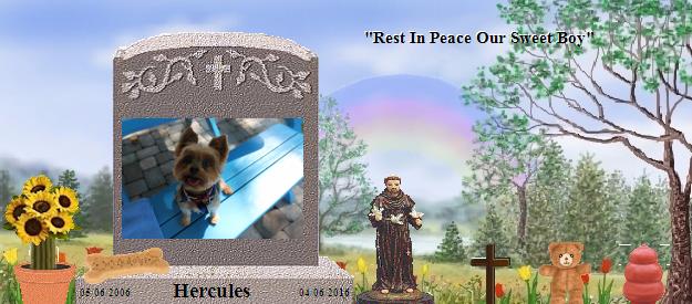 Hercules's Rainbow Bridge Pet Loss Memorial Residency Image