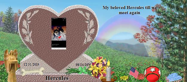 Hercules's Rainbow Bridge Pet Loss Memorial Residency Image