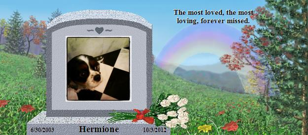 Hermione's Rainbow Bridge Pet Loss Memorial Residency Image