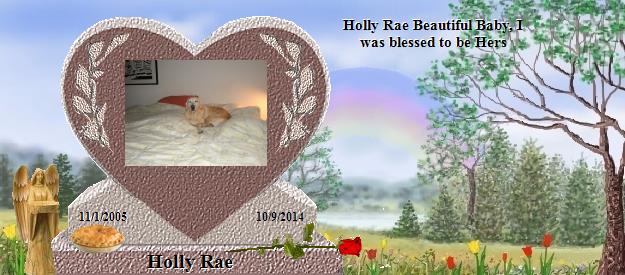 Holly Rae's Rainbow Bridge Pet Loss Memorial Residency Image