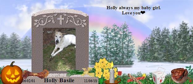 Holly Basile's Rainbow Bridge Pet Loss Memorial Residency Image