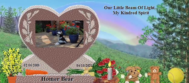 Homer Bear's Rainbow Bridge Pet Loss Memorial Residency Image