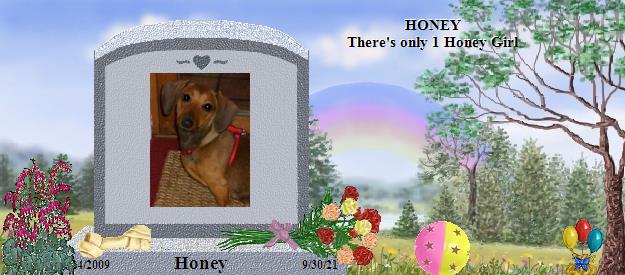 Honey's Rainbow Bridge Pet Loss Memorial Residency Image