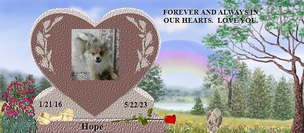 Hope's Rainbow Bridge Pet Loss Memorial Residency Image