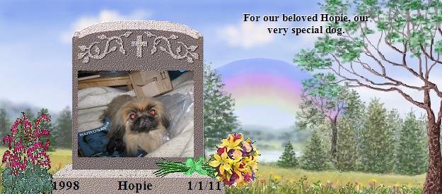 Hopie's Rainbow Bridge Pet Loss Memorial Residency Image