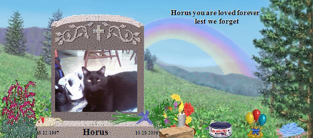 Horus's Rainbow Bridge Pet Loss Memorial Residency Image