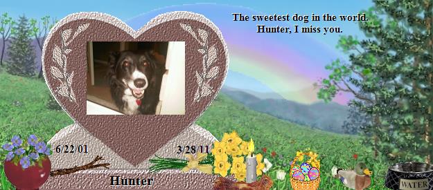 Hunter's Rainbow Bridge Pet Loss Memorial Residency Image
