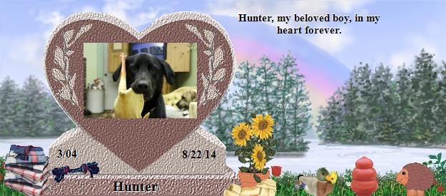 Hunter's Rainbow Bridge Pet Loss Memorial Residency Image