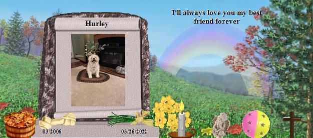 Hurley's Rainbow Bridge Pet Loss Memorial Residency Image
