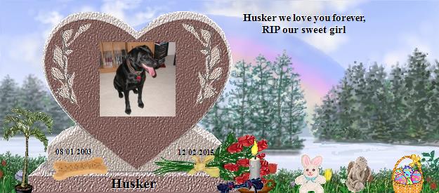 Husker's Rainbow Bridge Pet Loss Memorial Residency Image