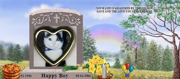 Happy Boy's Rainbow Bridge Pet Loss Memorial Residency Image