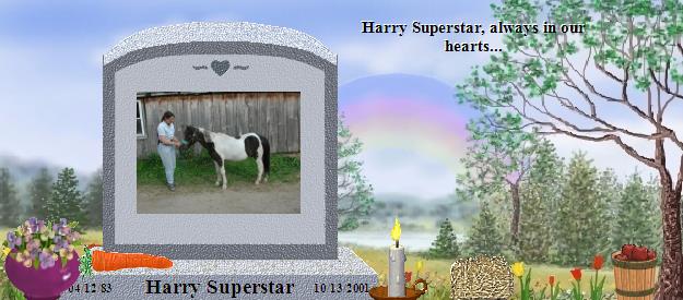 Harry Superstar's Rainbow Bridge Pet Loss Memorial Residency Image