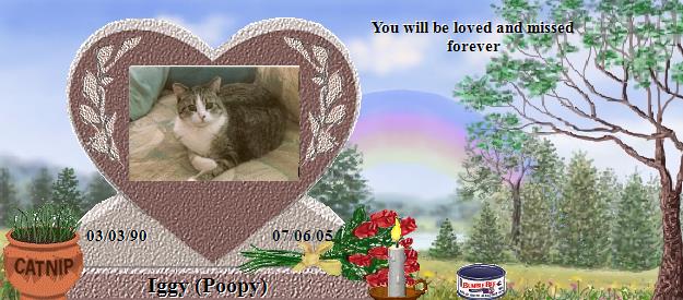 Iggy (Poopy)'s Rainbow Bridge Pet Loss Memorial Residency Image