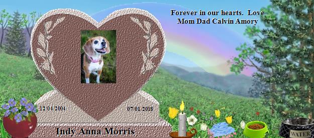 Indy Anna Morris's Rainbow Bridge Pet Loss Memorial Residency Image