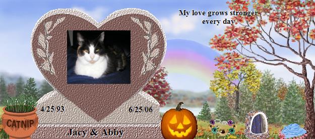 Jacy & Abby's Rainbow Bridge Pet Loss Memorial Residency Image