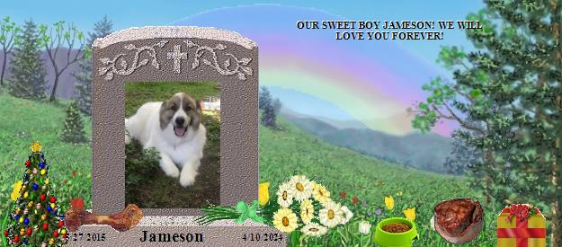 Jameson's Rainbow Bridge Pet Loss Memorial Residency Image