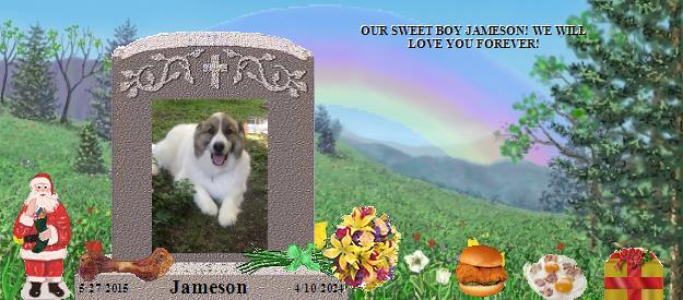 Jameson's Rainbow Bridge Pet Loss Memorial Residency Image