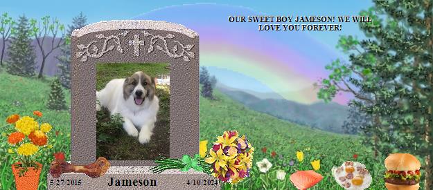 Jameson's Rainbow Bridge Pet Loss Memorial Residency Image