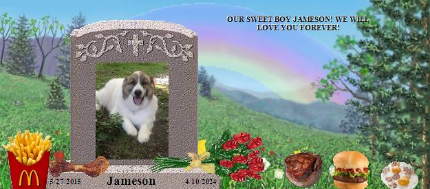Jameson's Rainbow Bridge Pet Loss Memorial Residency Image