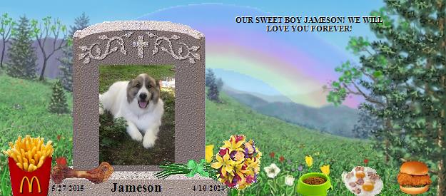 Jameson's Rainbow Bridge Pet Loss Memorial Residency Image