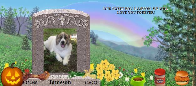 Jameson's Rainbow Bridge Pet Loss Memorial Residency Image