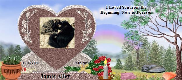Jamie Alley's Rainbow Bridge Pet Loss Memorial Residency Image
