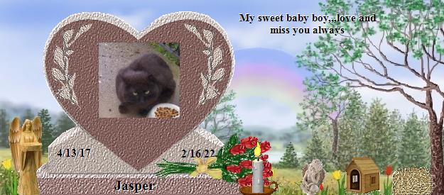 Jasper's Rainbow Bridge Pet Loss Memorial Residency Image