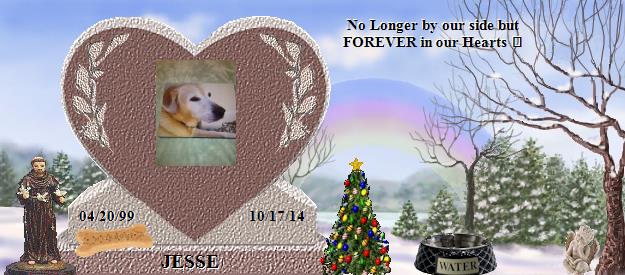 JESSE's Rainbow Bridge Pet Loss Memorial Residency Image