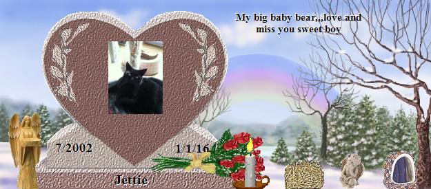 Jettie's Rainbow Bridge Pet Loss Memorial Residency Image