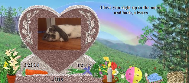 Jinx's Rainbow Bridge Pet Loss Memorial Residency Image