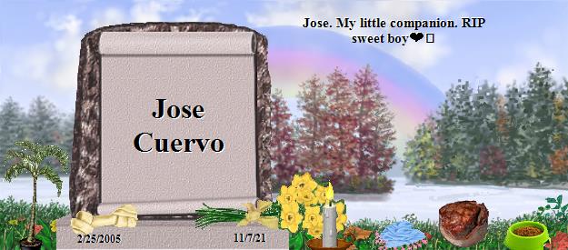 Jose Cuervo's Rainbow Bridge Pet Loss Memorial Residency Image