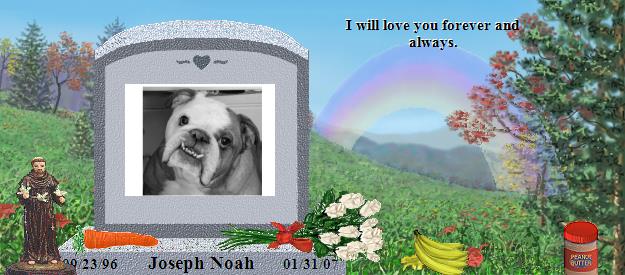 Joseph Noah's Rainbow Bridge Pet Loss Memorial Residency Image