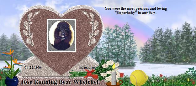 Jose Running Bear Whelchel's Rainbow Bridge Pet Loss Memorial Residency Image