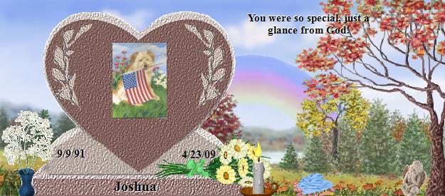 Joshua's Rainbow Bridge Pet Loss Memorial Residency Image
