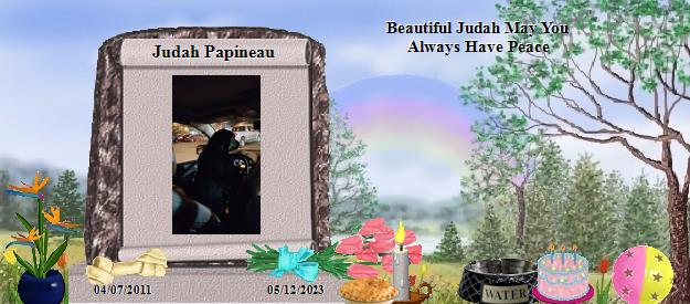 Judah Papineau's Rainbow Bridge Pet Loss Memorial Residency Image