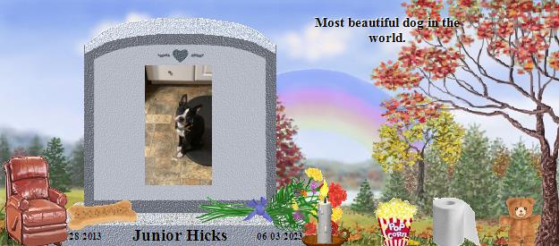 Junior Hicks's Rainbow Bridge Pet Loss Memorial Residency Image
