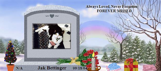 Jak Bettinger's Rainbow Bridge Pet Loss Memorial Residency Image
